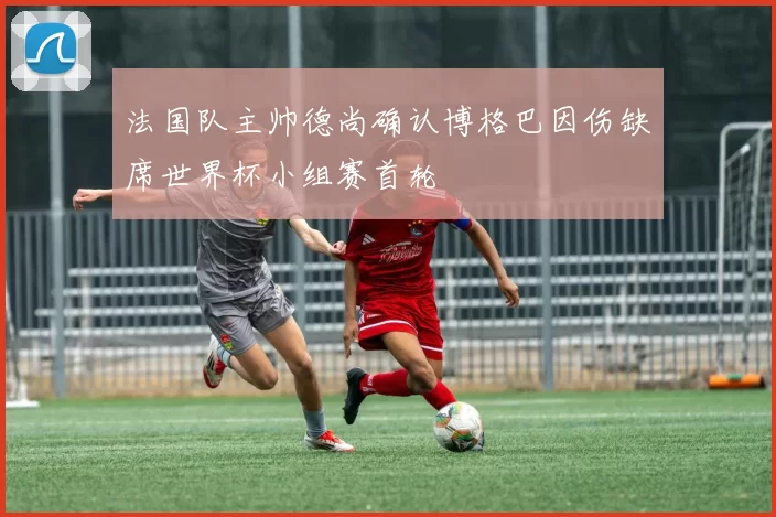 法国队主帅德尚确认博格巴因伤缺席世界杯小组赛首轮