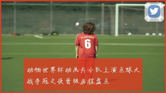 动物世界杯动画片小队上演点球大战夺冠之夜晋级历程盘点