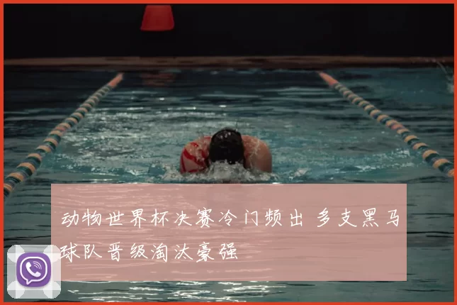 动物世界杯决赛冷门频出 多支黑马球队晋级淘汰豪强