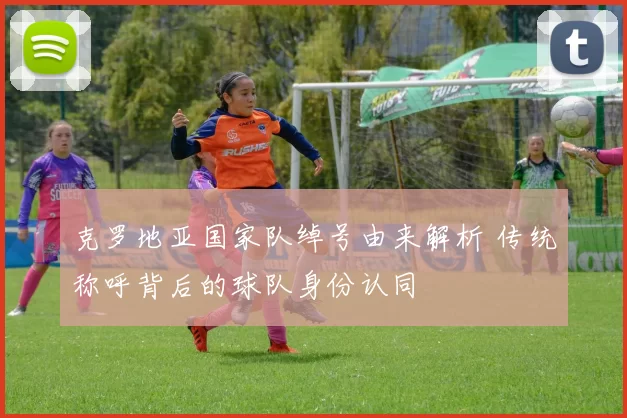 克罗地亚国家队绰号由来解析 传统称呼背后的球队身份认同