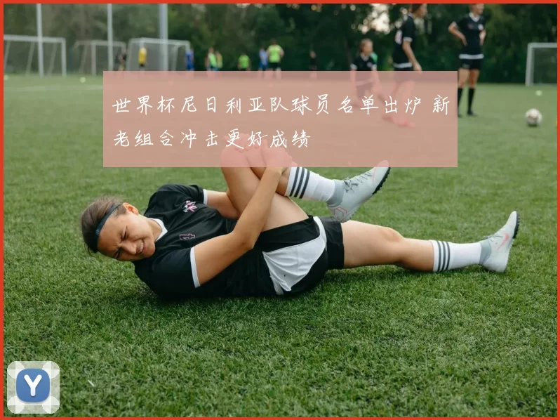 世界杯尼日利亚队球员名单出炉 新老组合冲击更好成绩