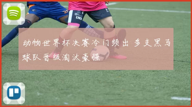 动物世界杯决赛冷门频出 多支黑马球队晋级淘汰豪强